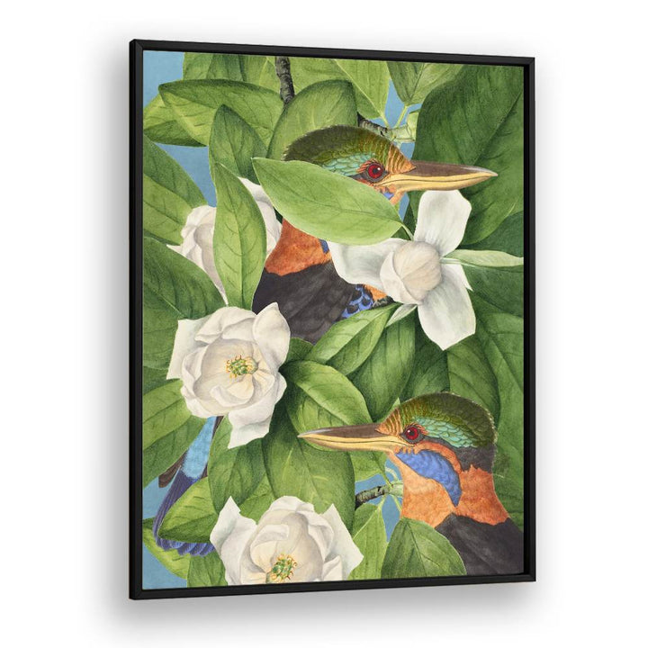 TROPICAL KINGFISHERS MAGNOLIAS