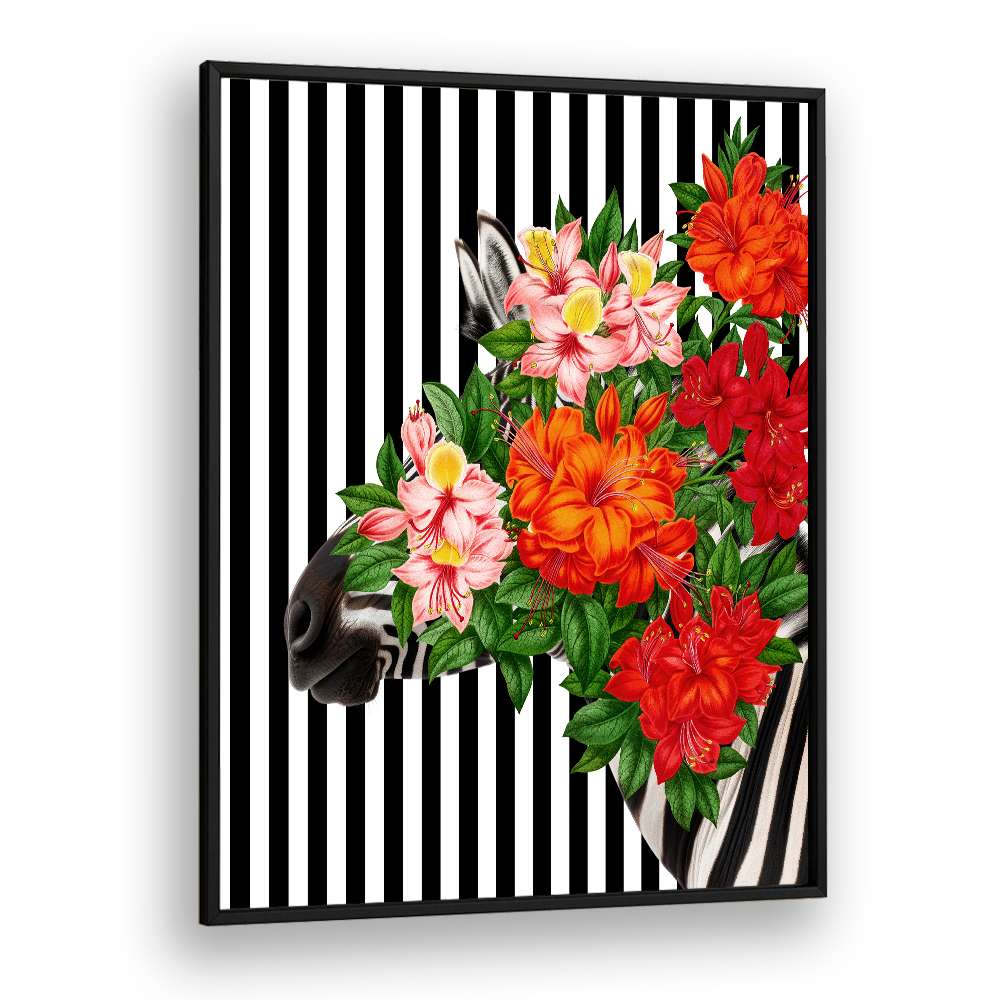 TROPICAL ZEBRA BLOOM