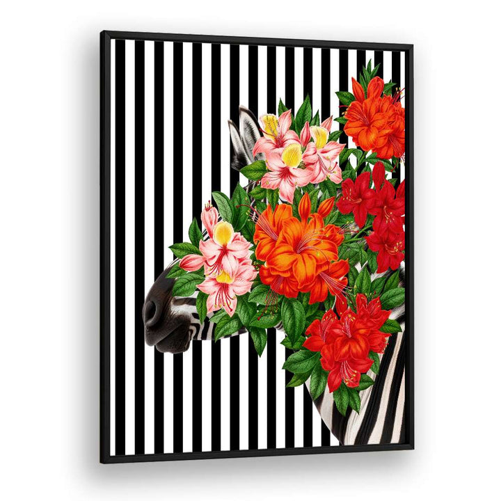 TROPICAL ZEBRA BLOOM
