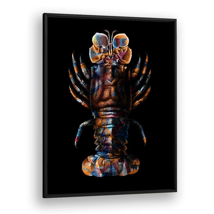 VIBRANT SPINY LOBSTER