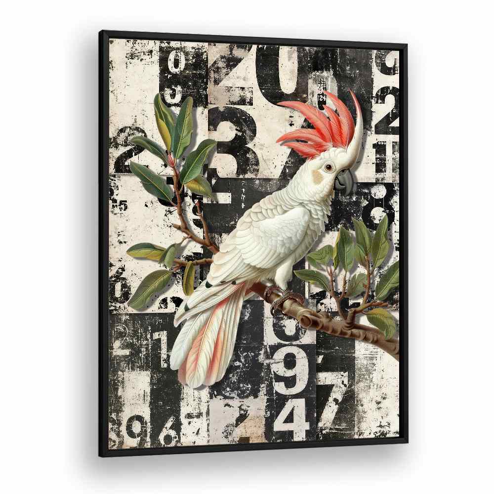 WHITE COCKATOO GRUNGE NUMBERS