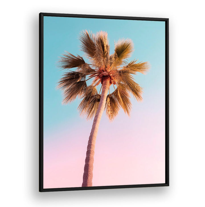 Discover THE PASTEL PALM, BEACH PAINTINGS, a vibrant palm art piece by Philippe Hugonnard for stylish home decor.