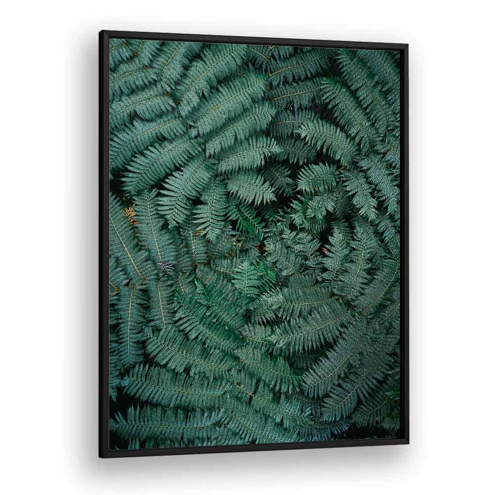 GREEN LEAVES , PHOTOGRAPHY PRINTS
