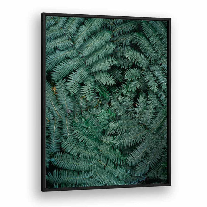 GREEN LEAVES , PHOTOGRAPHY PRINTS