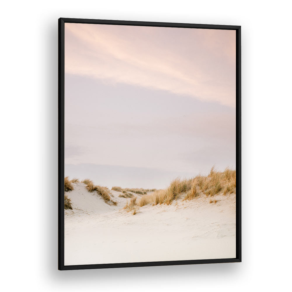 AMELAND DUNES III , PHOTOGRAPHY PRINTS