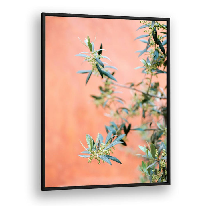 GREEN AND CORAL , PHOTOGRAPHY PRINTS