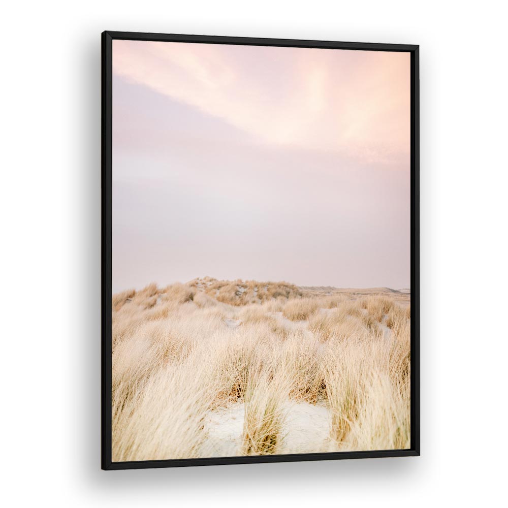 AMELAND DUNES II BY RAISA ZWART , LANDSCAPE PHOTO PRINTS