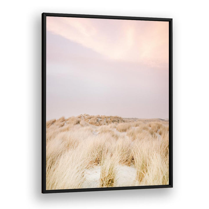 AMELAND DUNES II BY RAISA ZWART , LANDSCAPE PHOTO PRINTS