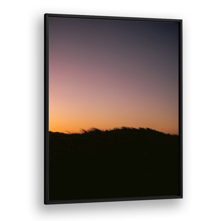 DUNE GRASS SUNSET BY RAISA ZWART , LANDSCAPE PHOTO PRINTS