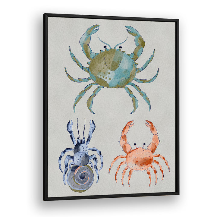 OCEAN CRABS WATERCOLOR