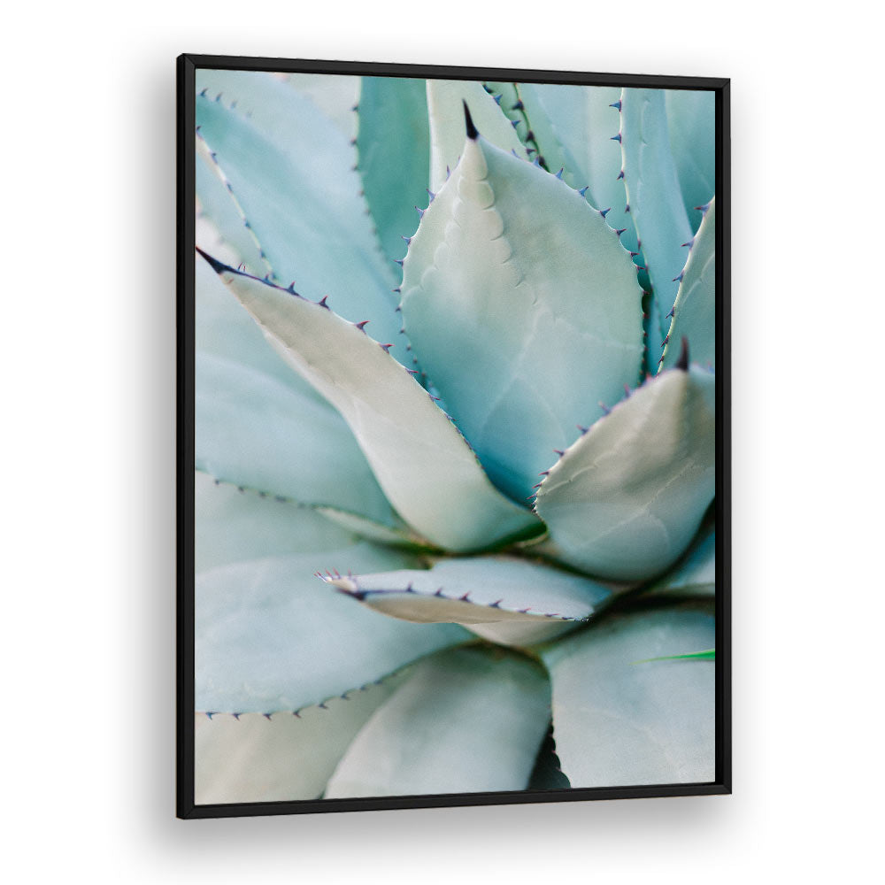 SUCCULENT GREEN BY RAISA ZWART , LANDSCAPE PHOTO PRINTS