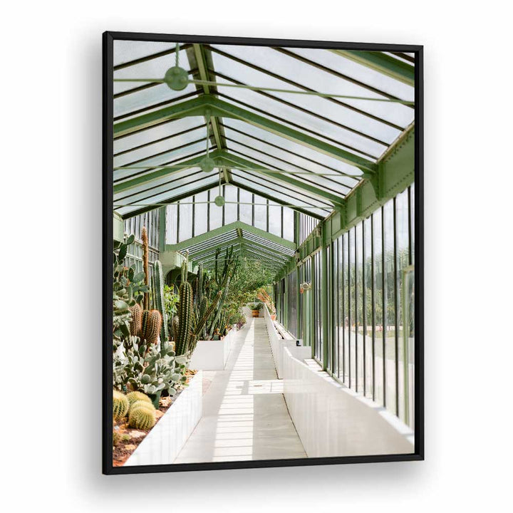 BOTANICAL GARDEN OF PARIS BY RAISA ZWART , LANDSCAPE PHOTO PRINTS