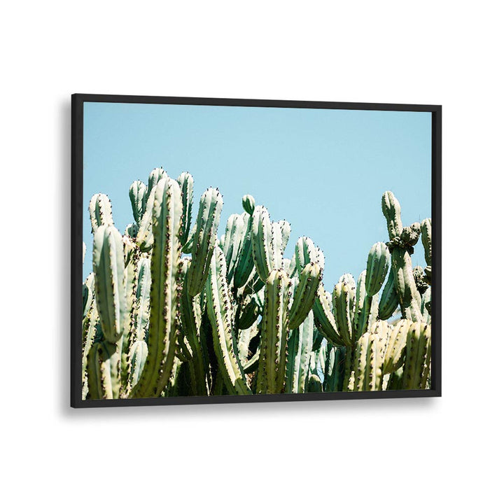 SOUTH OF SPAIN BY RAISA ZWART , LANDSCAPE PHOTO PRINTS