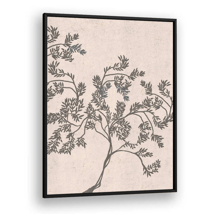 ACACIA NILOTICA , FLORAL FLOWER PAINTINGS