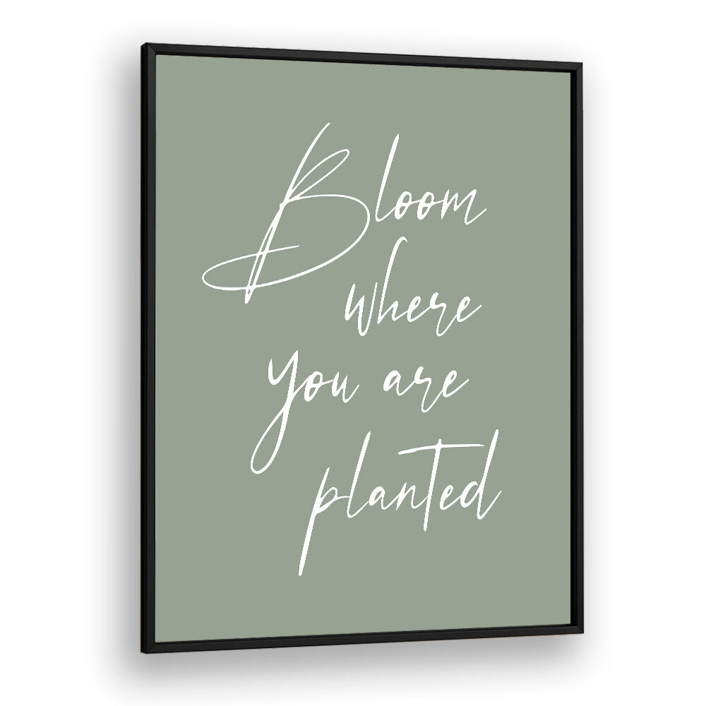 BLOOM , QUOTES & TYPOGRAPHY POSTERS
