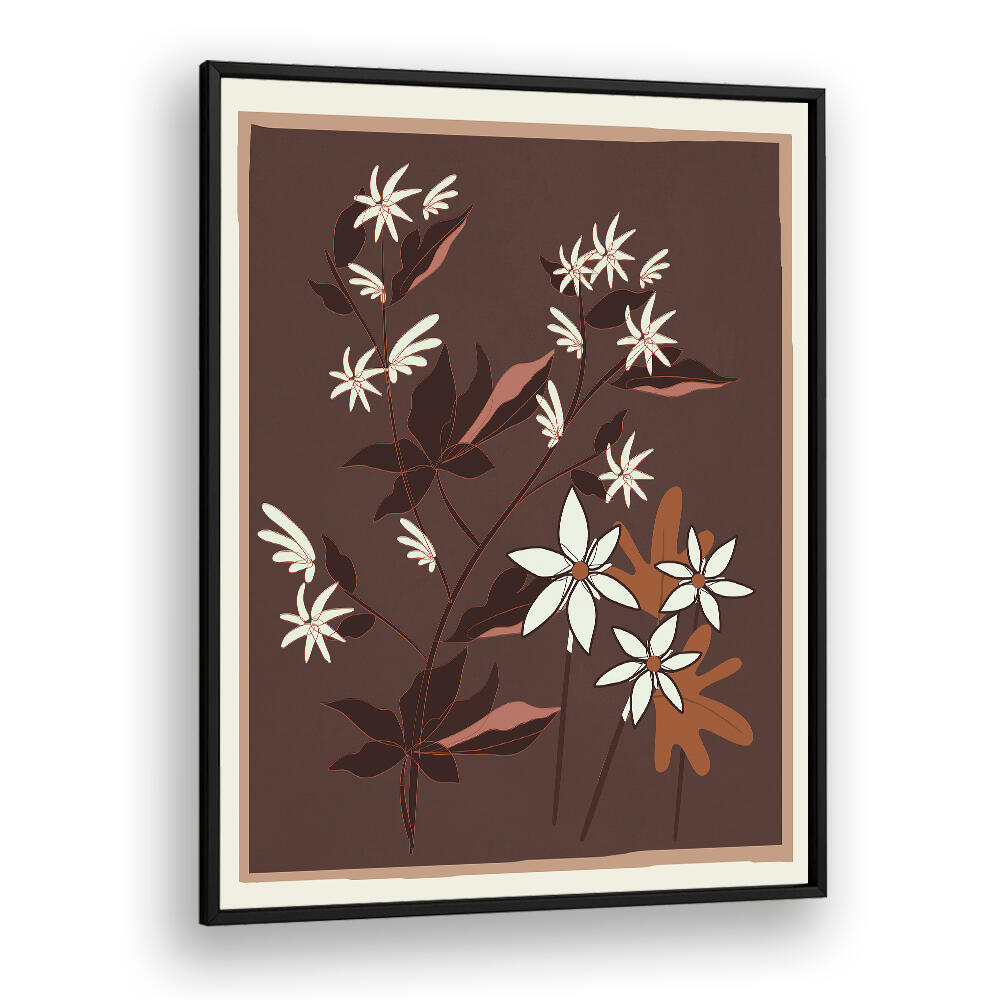 BLOSSOMS IN COCOA