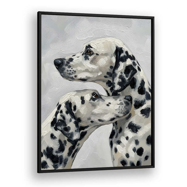 DALMATION DOG