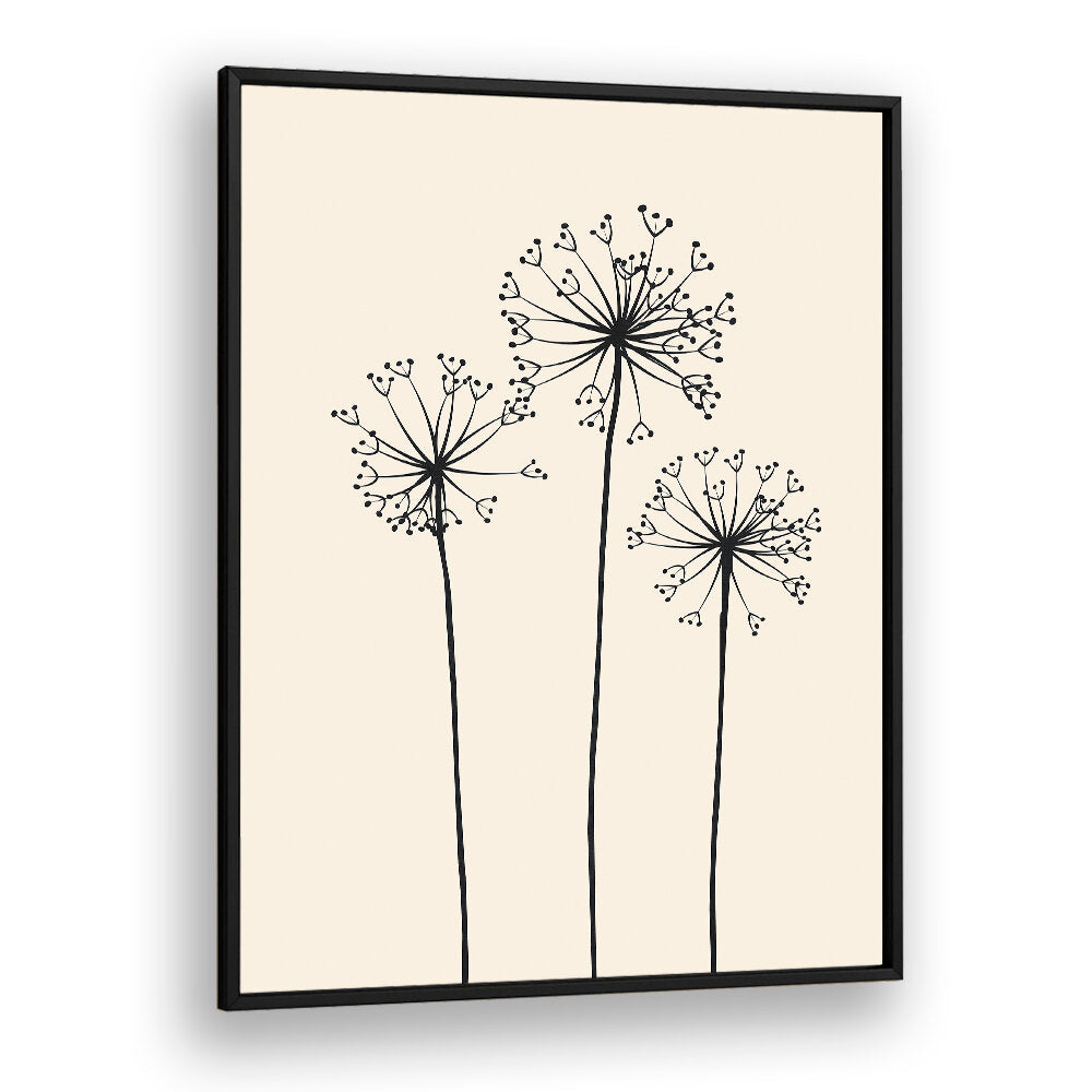 DANDELIONS V