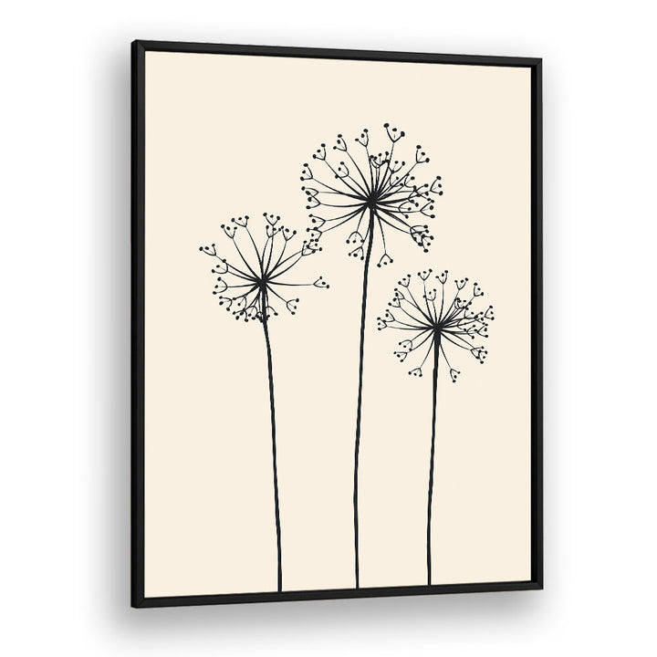 DANDELIONS V