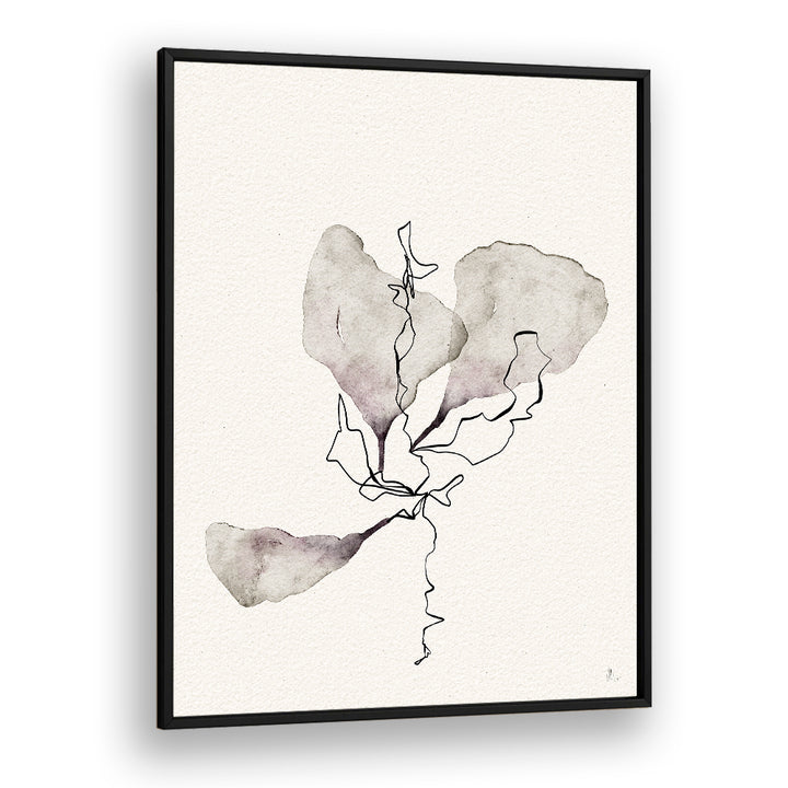 DELICATE BOTANICAL STUDY