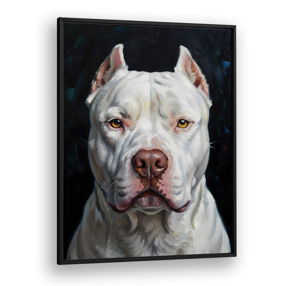 DOGO ARGENTINO
