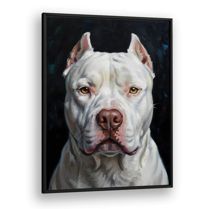 DOGO ARGENTINO