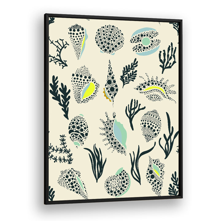 DOTTED OCEAN SHELLS