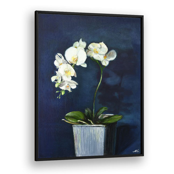 ELEGANT WHITE ORCHIDS