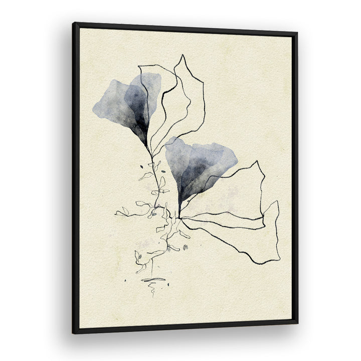 ETHEREAL MARINE BOTANICALS