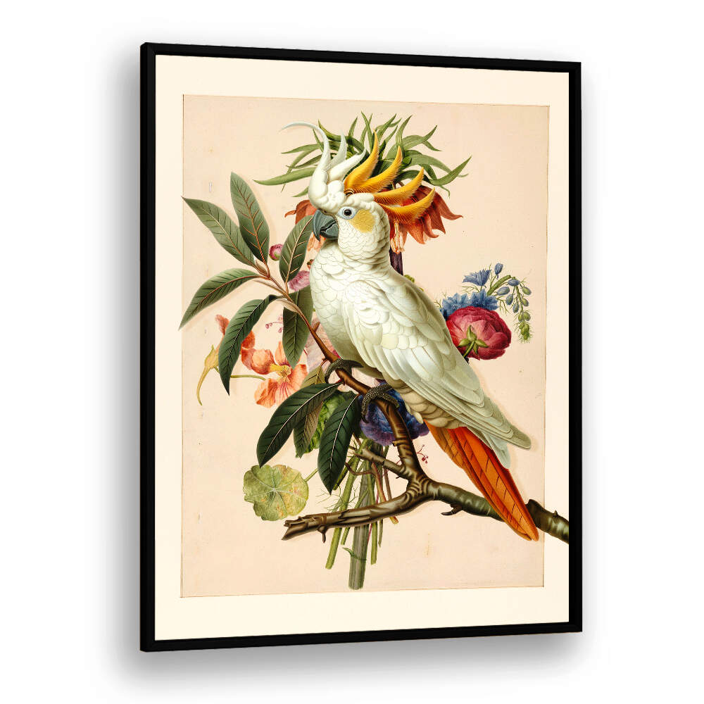 HENRIËTTA’S BIRD