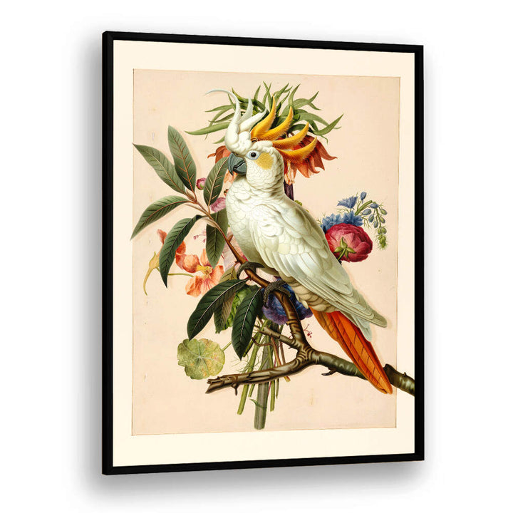 HENRIËTTA’S BIRD