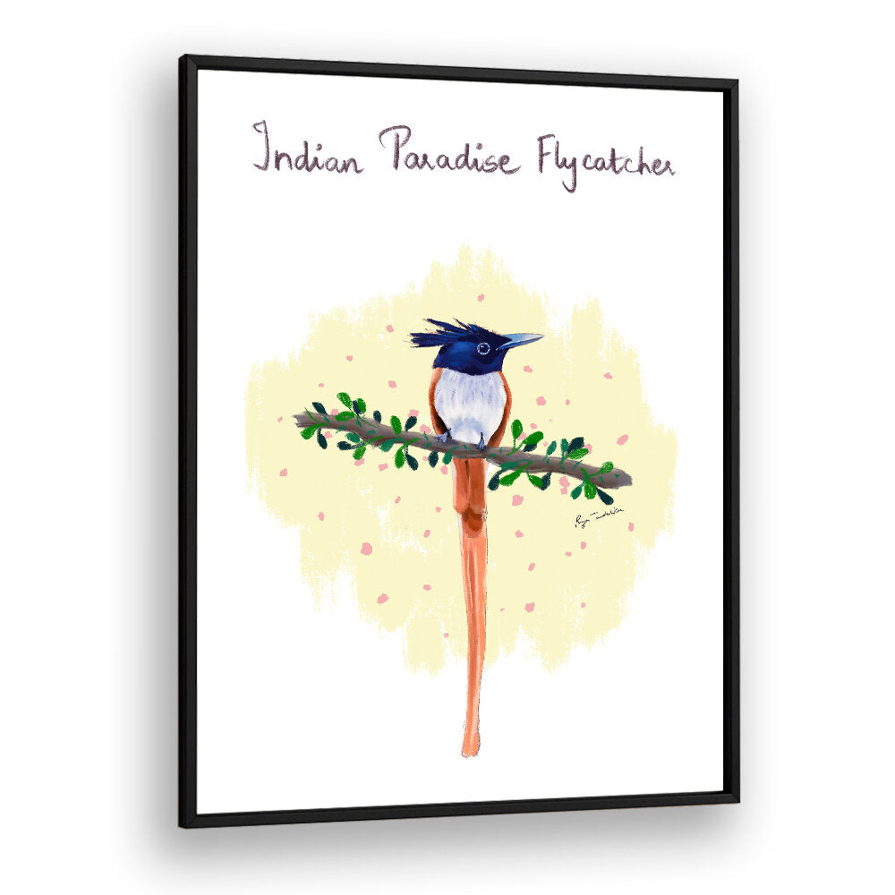 INDIAN PARADISE FLYCATCHER