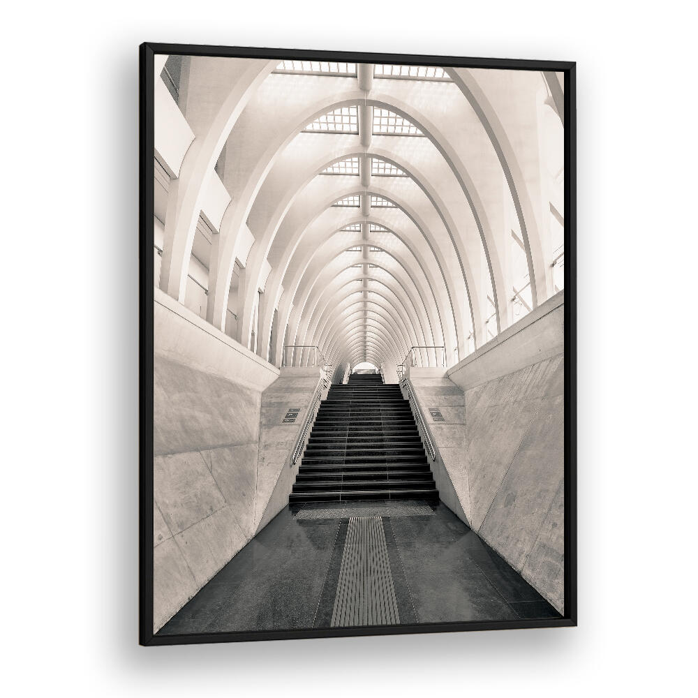 INSIDE CALATRAVA