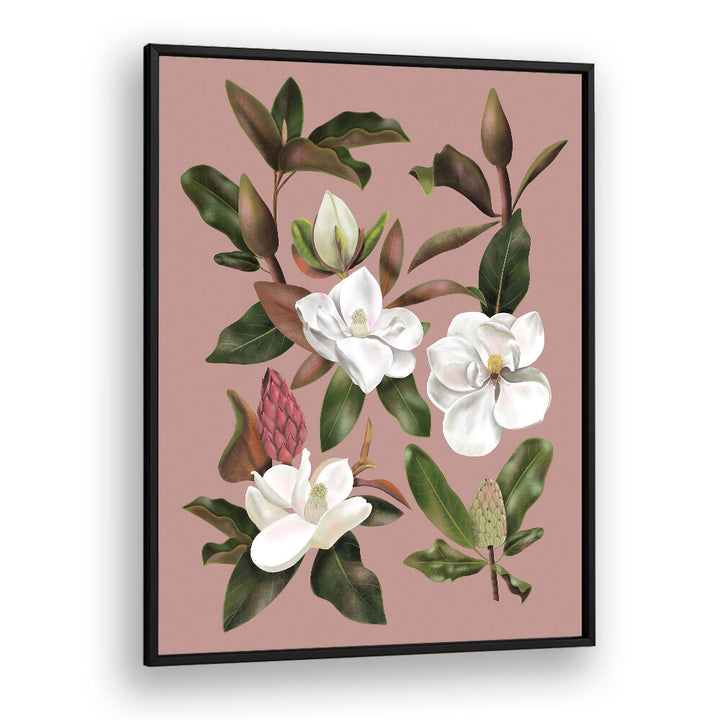 MAGNOLIAS BLACK