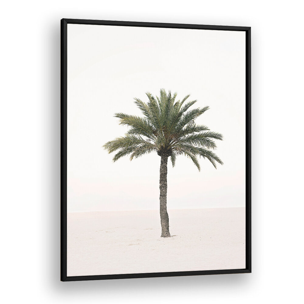 PALM II , BEACH PAINTINGS