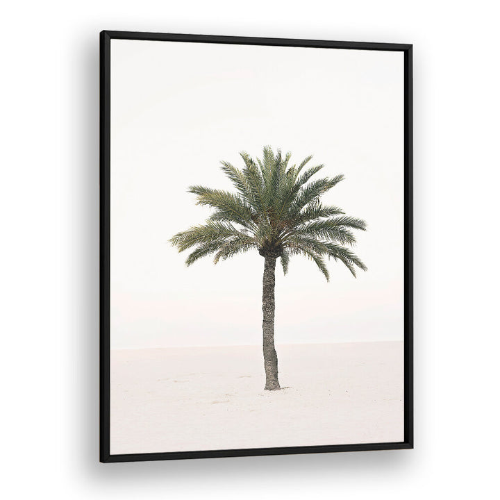 PALM II , BEACH PAINTINGS