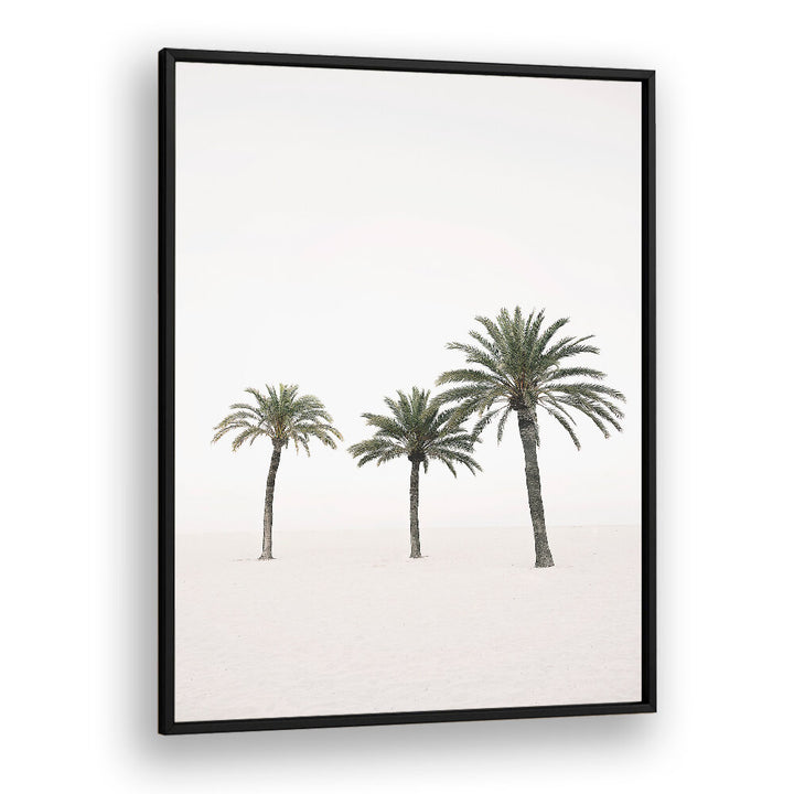 PALMS , BEACH PAINTINGS
