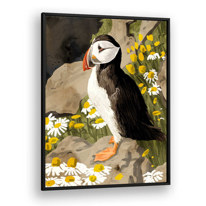 PUFFIN , ANIMAL PAINTINGS