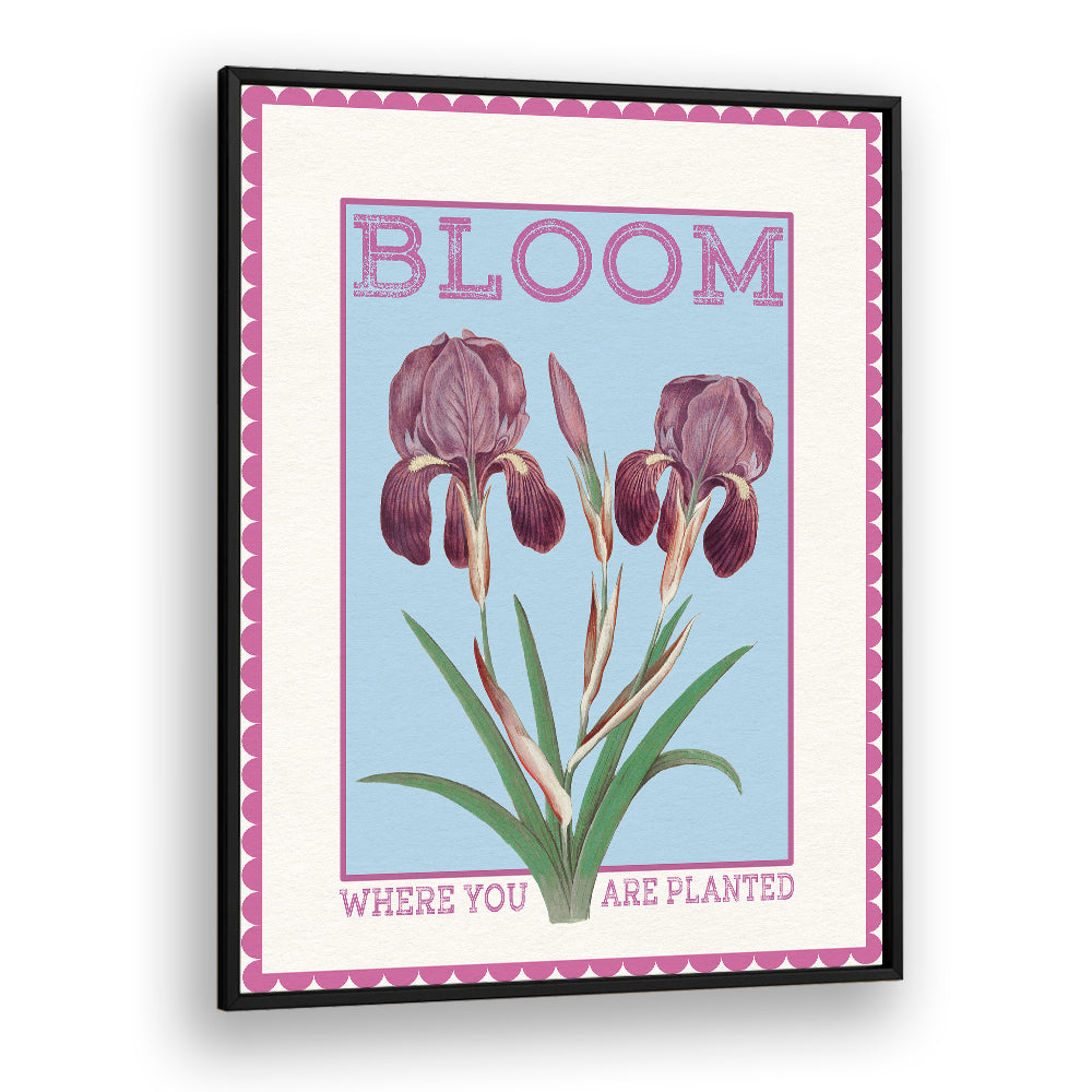 PURPLE IRISES BLOOM QUOTE