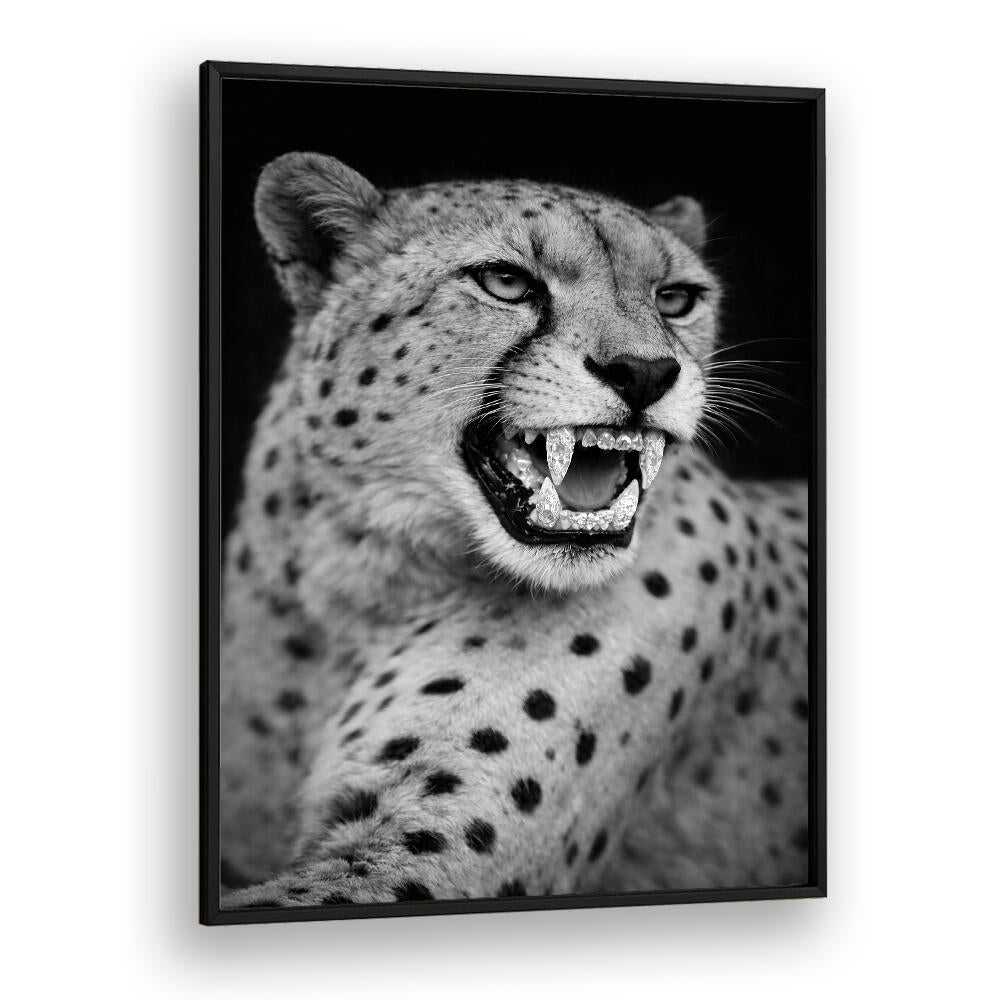 ROARING PREDATOR