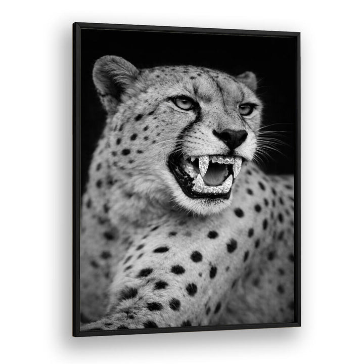 ROARING PREDATOR