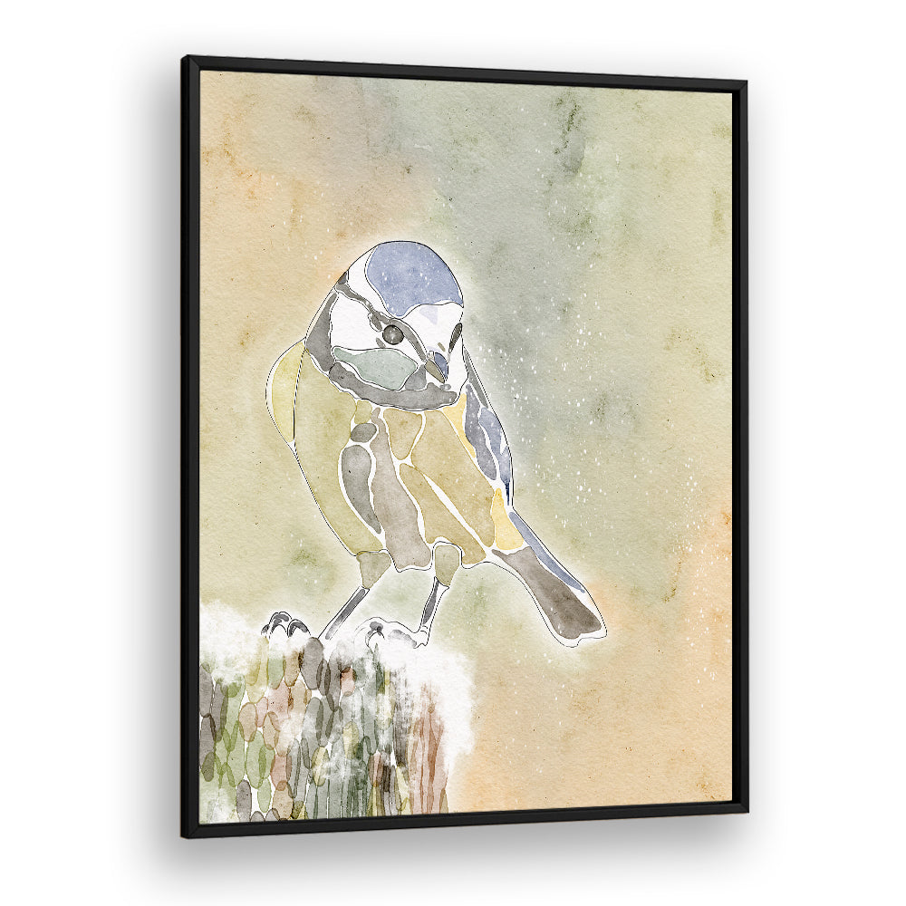 SNOWY BLUE TIT