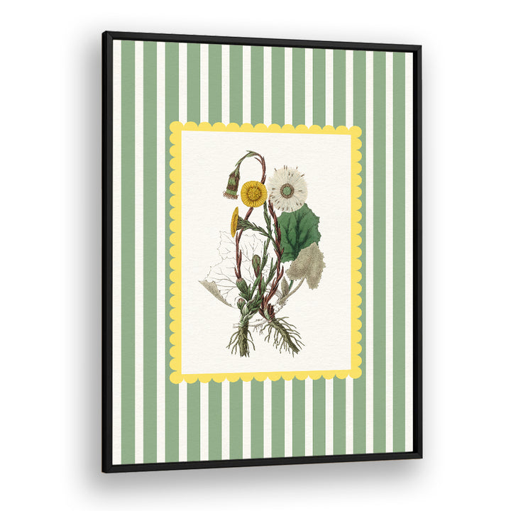 SPRING DANDELION STUDY