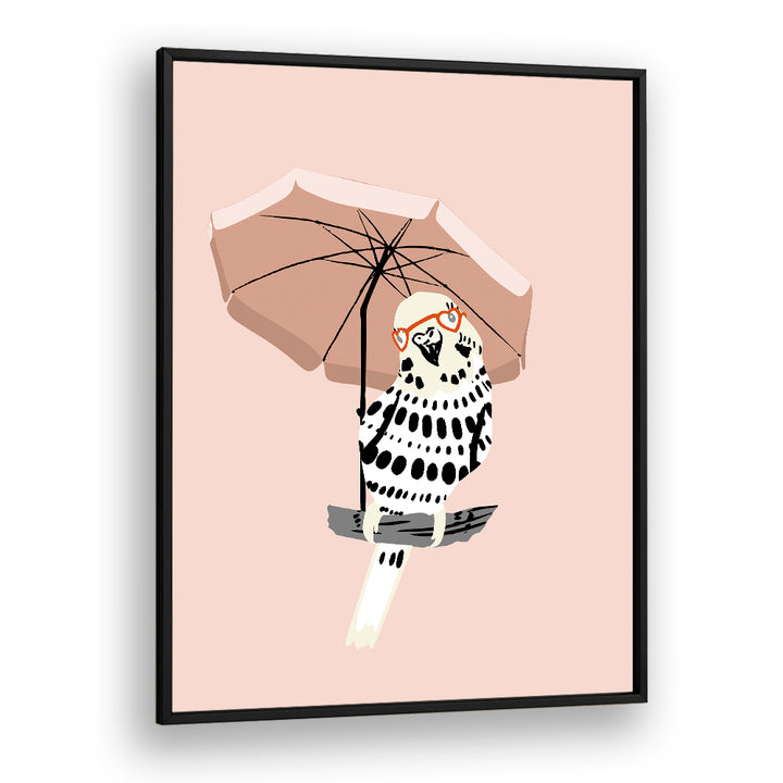 STYLISH BUDGIE UNDER UMBRELLA