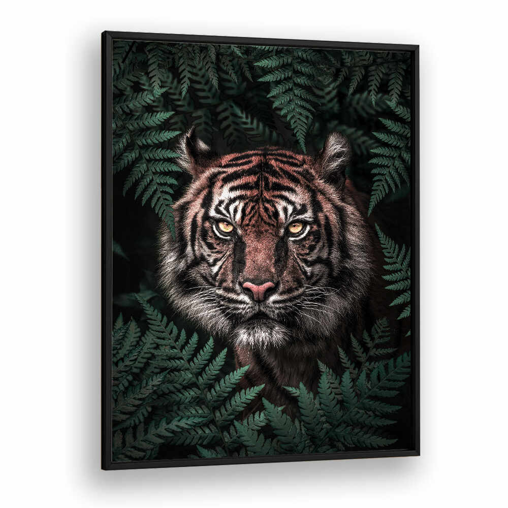 TIGER , ANIMAL PAINTINGS