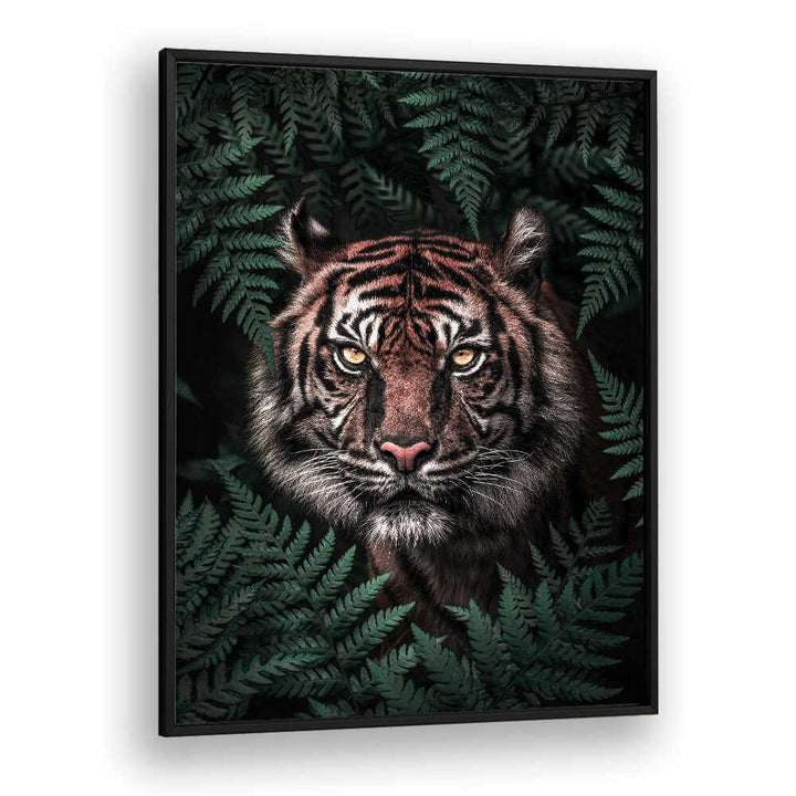 TIGER , ANIMAL PAINTINGS