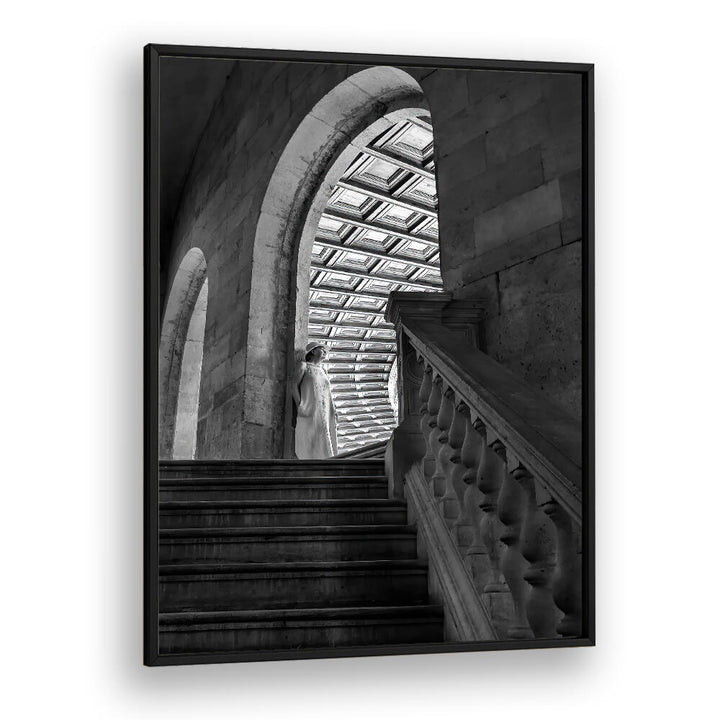 TIMELESS ARCHES