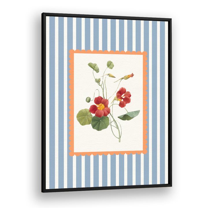 VINTAGE NASTURTIUM BLOOM