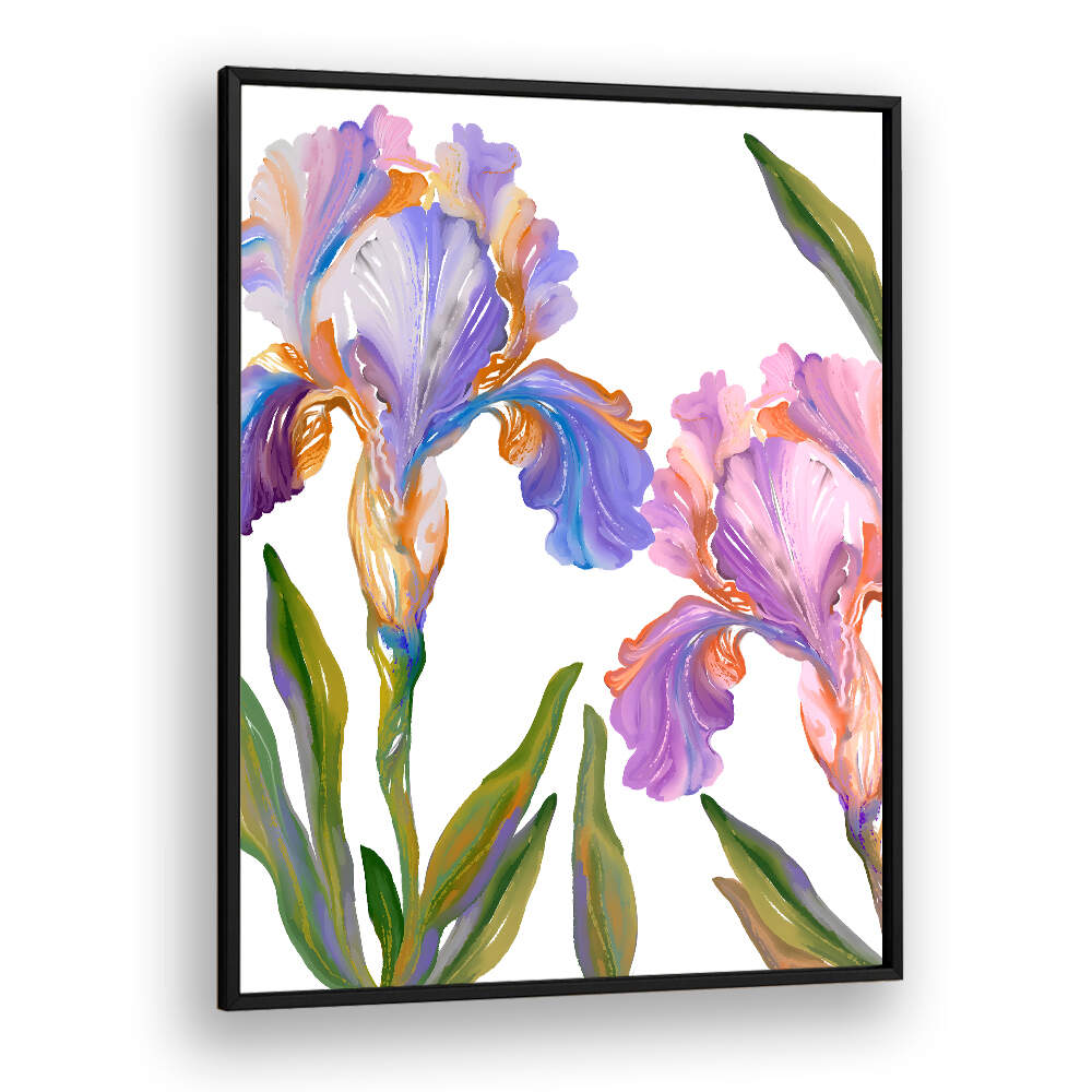 WATERCOLOR IRIS , FLORAL FLOWER PAINTINGS
