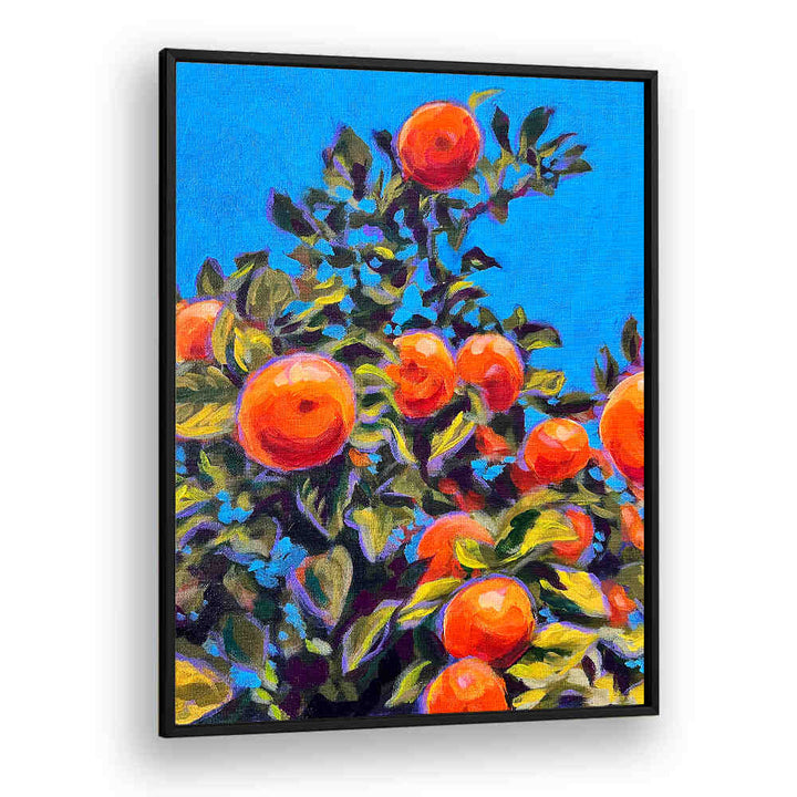 Vibrant framed SEVILLE ORANGES , KITCHEN POSTERS showing sunlit citrus on leafy branches against bright blue sky